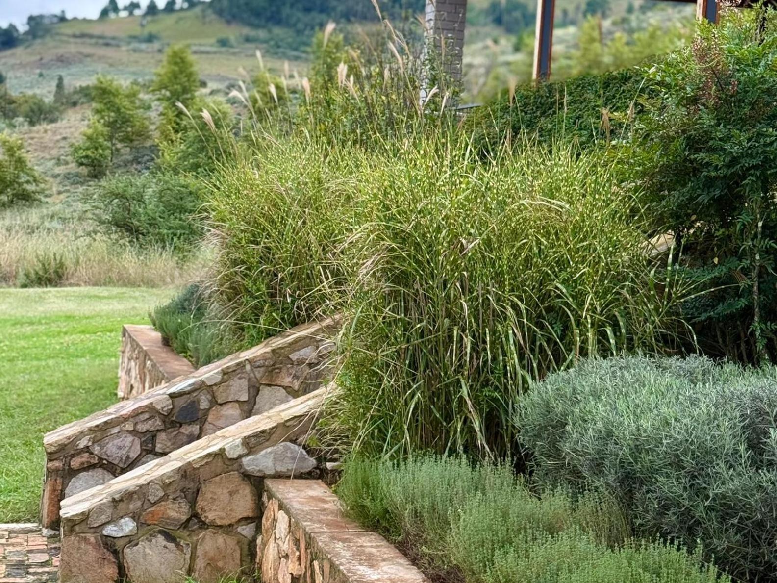 Stone Creek Mountain Lodge Dullstroom Exterior foto